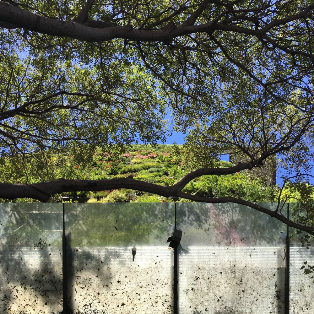 Sydney Revisited