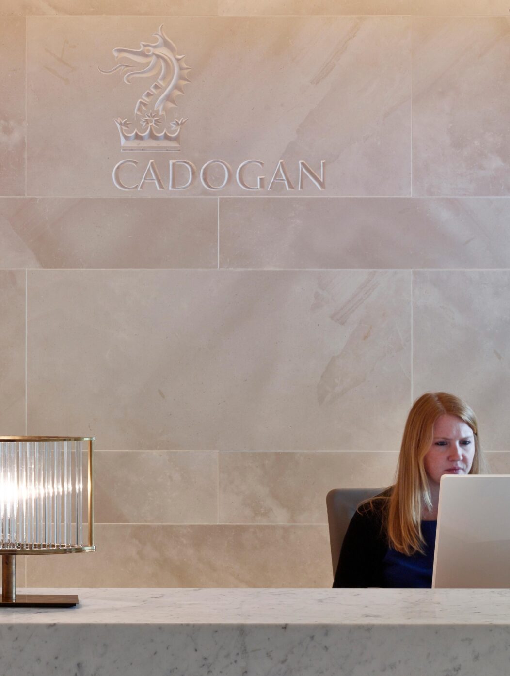 Sandra R Cadogan Cadogan Private Office - Stiff + Trevillion
